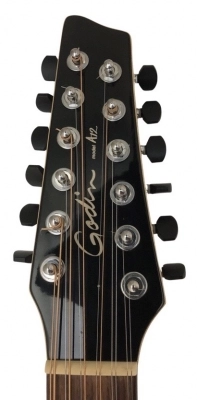 Godin A12 12-String Electric/Acoustic 2